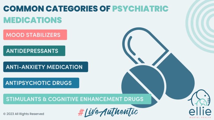 A Guide to Mental Health Medications | Ellie Mental Health A Guide to Mental Health Medications | Ellie Mental Health